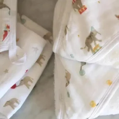 Aden + Anais - 2 Pk Essential Elefante Circo Toalha de banho com capuz para bebê