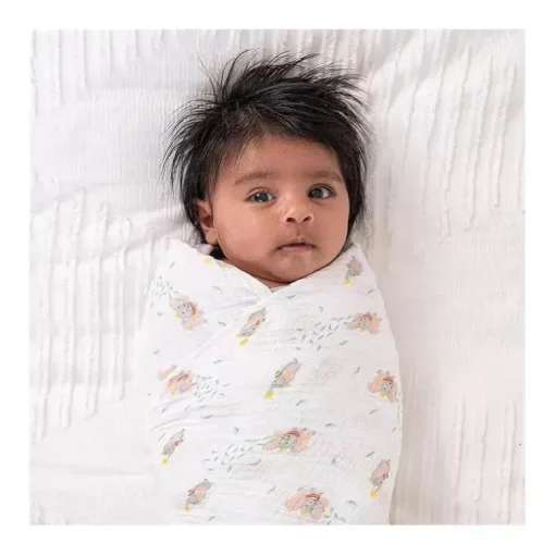 Aden + Anais - 2Pk Disney + Friends Cobertor Swaddle