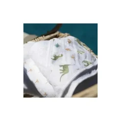 Aden + Anais - 2Pk Essentials Hooded Dino Jungle Toalha de banho para bebê