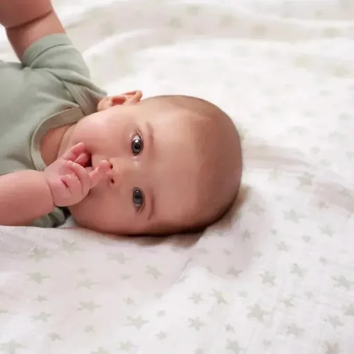 Aden + Anais Swaddle Clássico, Ocean Angel