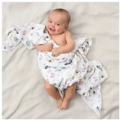Aden + Anais Swaddles Around The World 4-Pack