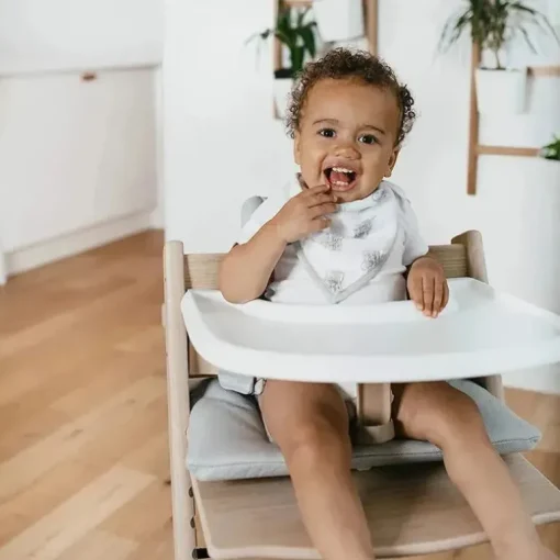 Aden+Anais - 2 Pk Babete História Natural
