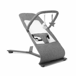 Baby Delight - Segurança portátil Alpine Deluxe, 0-6 meses, Charcoal Tweed