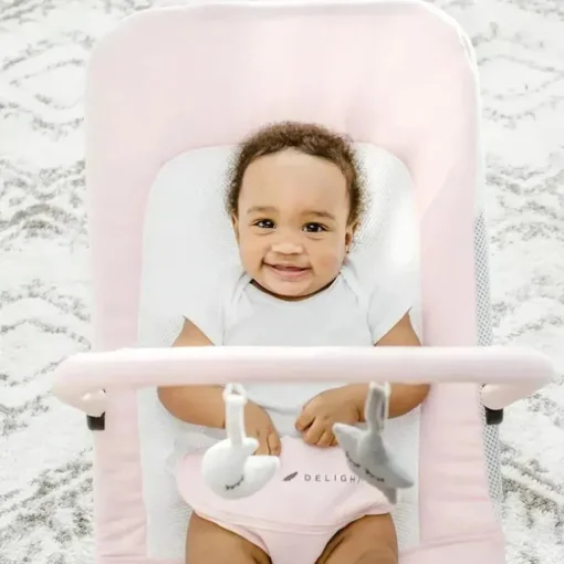 Baby Delight - Segurança portátil Alpine Deluxe, rosa peônia