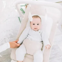 Baby Delight - Segurança Portátil Alpine Deluxe, Aveia Orgânica