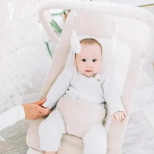 Baby Delight - Segurança Portátil Alpine Deluxe, Aveia Orgânica