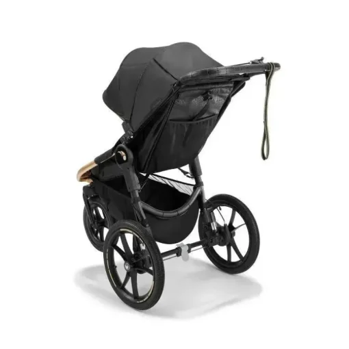Baby Jogger - Carrinho de corrida Robin Arzon Summit X3, City Royalty