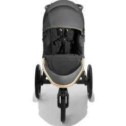 Baby Jogger - Carrinho de corrida Robin Arzon Summit X3, City Royalty