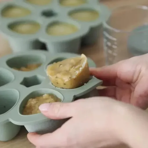 Beaba - Recipiente de silicone para comida de bebê multiporções, Sálvia