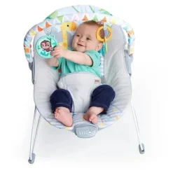 Bright Starts - Assento infantil com vibrações calmantes para bebê Bouncer