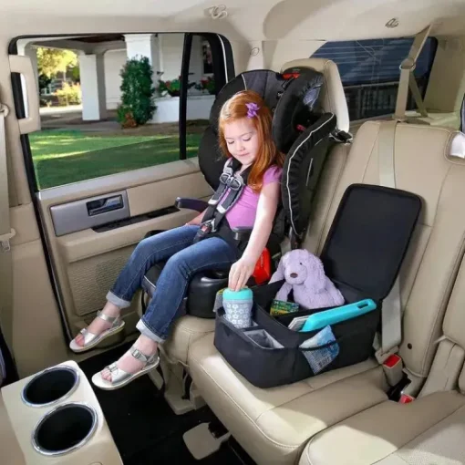 Britax - Organizador de banco traseiro View-N-Go, preto