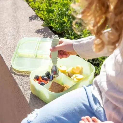 Bumkins - Bumkins Snack/Lunch Bento Box, recipiente com 3 compartimentos, geléia verde