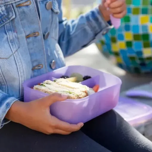 Bumkins - Bumkins Snack/Lunch Bento Box, recipiente com 3 compartimentos, geléia roxa