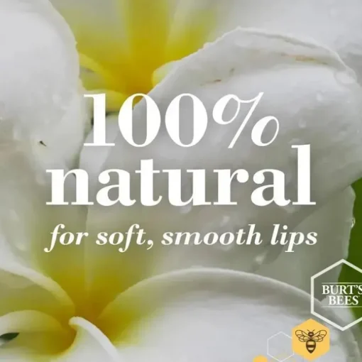 Burts Bees - 2 unidades de protetor labial de coco e pêra