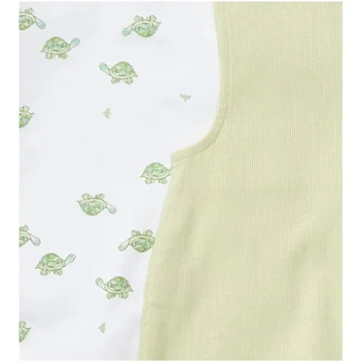 Burts Bees - Baby Boy Tortoise Jumpsuit & Bodysuit Set, Mint Tea