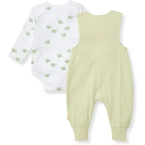Burts Bees - Baby Boy Tortoise Jumpsuit & Bodysuit Set, Mint Tea