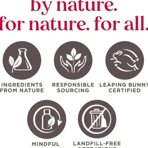 Burt's Bees - Lenços umedecidos naturais sem cheiro para pele sensível, 72 lenços umedecidos com 10 unidades