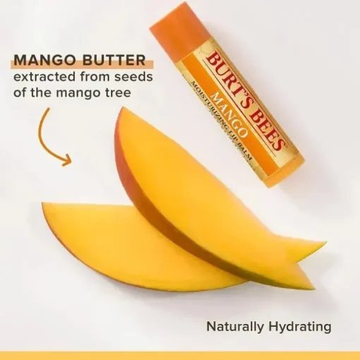 Burts Bees - Lip Balm Mango