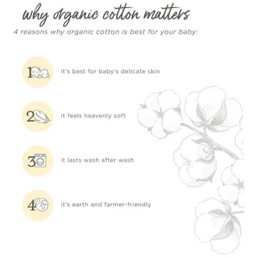 Burts Bees - Micro Golden Bee Bodysuit Set, Crocus