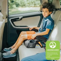 Chicco - Gofit Cleartex Assento de carro sem encosto Booster, Reef
