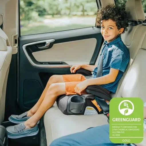Chicco - Gofit Cleartex Assento de carro sem encosto Booster, Reef