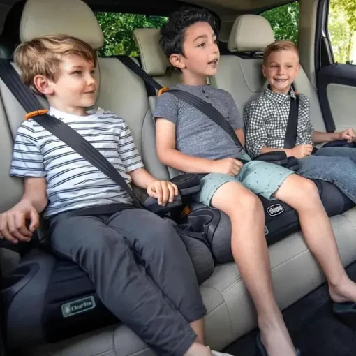 Chicco - Gofit Cleartex Assento de carro sem encosto Booster, Reef