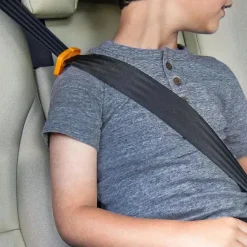 Chicco - Gofit Cleartex Assento de carro sem encosto Booster, Reef