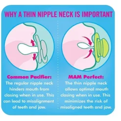 Chupeta MAM 2 Pack Perfect 6M+ - Rosa/Roxo