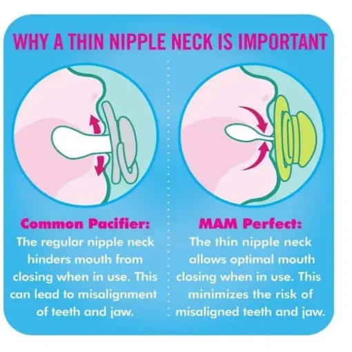 Chupeta MAM 2 Pack Perfect 6M+ - Rosa/Roxo