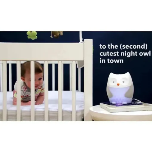Chupeta Skip Hop Moonlight &amp; Melodies Nightlight - Coruja