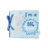 Conjunto de alfinetes e livros do Big Brother para torta de lama azul