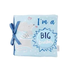 Conjunto de alfinetes e livros do Big Brother para torta de lama azul