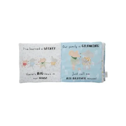 Conjunto de alfinetes e livros do Big Brother para torta de lama azul