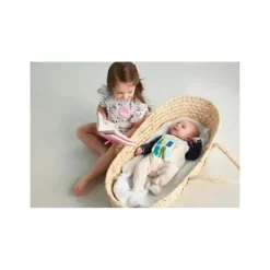 Conjunto de broches e livros da irmã mais velha de torta de lama rosa