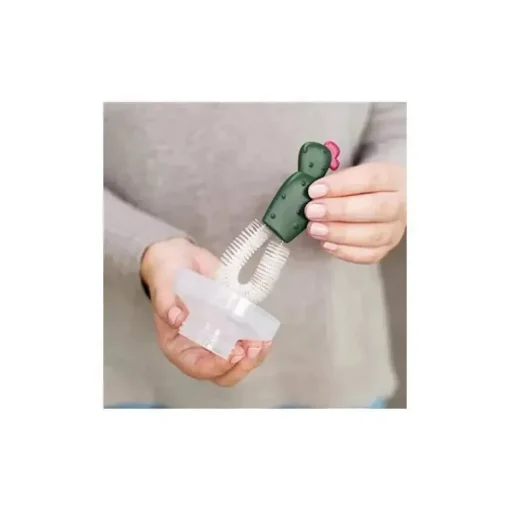 Conjunto de escovas para limpeza de garrafas Boon Cacti