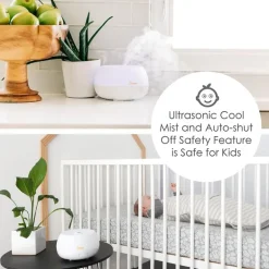 Crane - Personal Humidifier With Aroma Diffuser Function And Color Changing Light