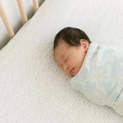 Crane Bedding - Cove Fited Crib Sheet, Hashtag