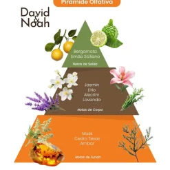 David & Noah By Baby Jolie - Lotion + Perfume Bundle