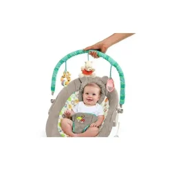 Disney Baby Winnie The Pooh Bouncer, Dots e Hunny Pots