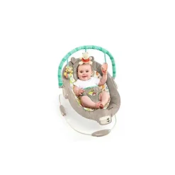 Disney Baby Winnie The Pooh Bouncer, Dots e Hunny Pots