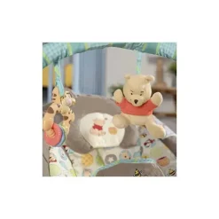 Disney Baby Winnie The Pooh Bouncer, Dots e Hunny Pots