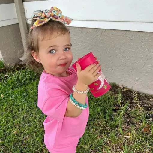 Dr. Brown - Red Milestones Cheers360 Training Sippy Cup