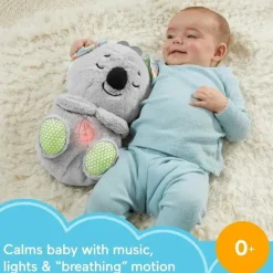 Fisher Price - Pelúcia Koala Soothe 'N Snuggle