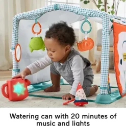 Fisher Price - Playmat 3 em 1 Crawl &amp; Play Activity Gym