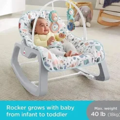 Fisher-Price Infant-to-Toddler Rocker, Pebbles