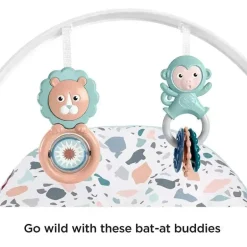 Fisher-Price Infant-to-Toddler Rocker, Pebbles