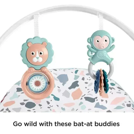 Fisher-Price Infant-to-Toddler Rocker, Pebbles