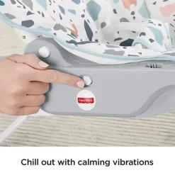 Fisher-Price Infant-to-Toddler Rocker, Pebbles