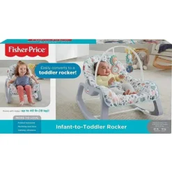 Fisher-Price Infant-to-Toddler Rocker, Pebbles