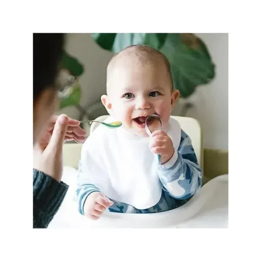 Green Sprouts - 10 unidades de babadores infantis unissex para secar, mirtilo
